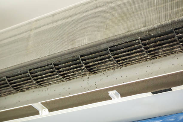 Best Affordable HVAC Duct Cleaning  in Vinton, IA